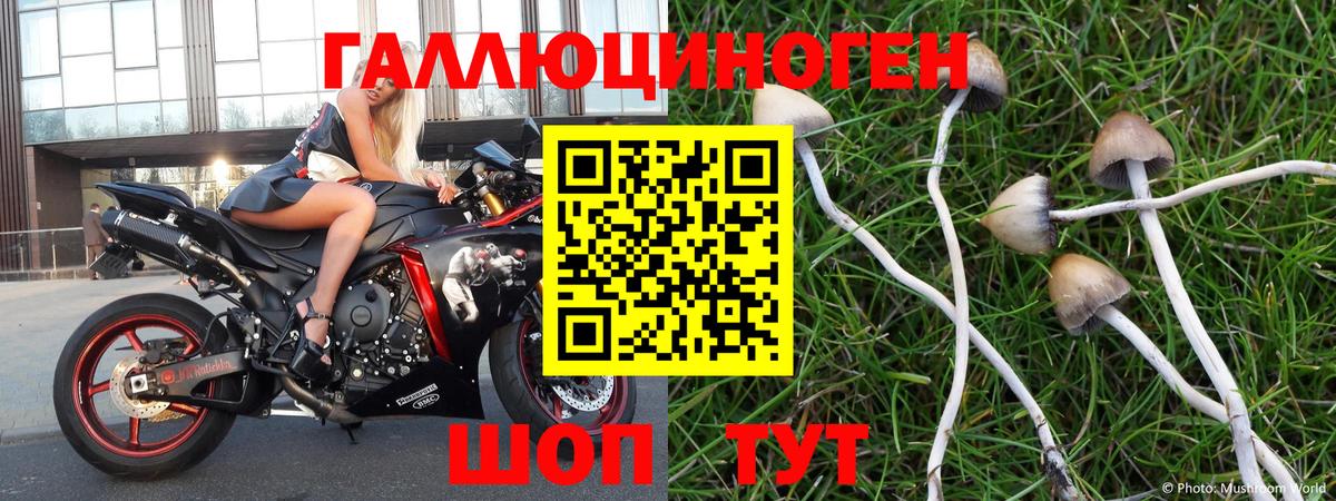 Сарапул  Галлюциногенные грибы MAGIC MUSHROOMS  Вход с VPN  Галлюциногенные грибы ЛСД 
