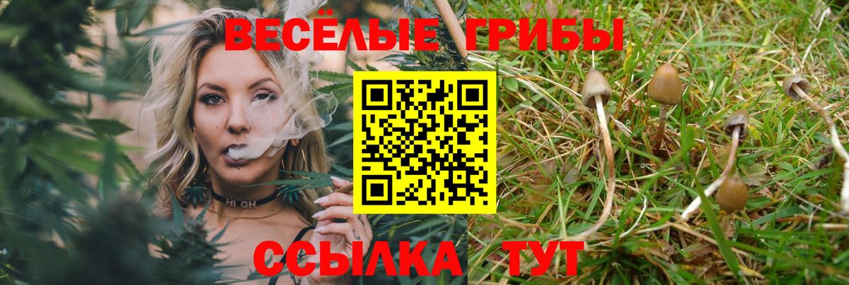 Псилоцибиновые грибы мицелий Сарапул